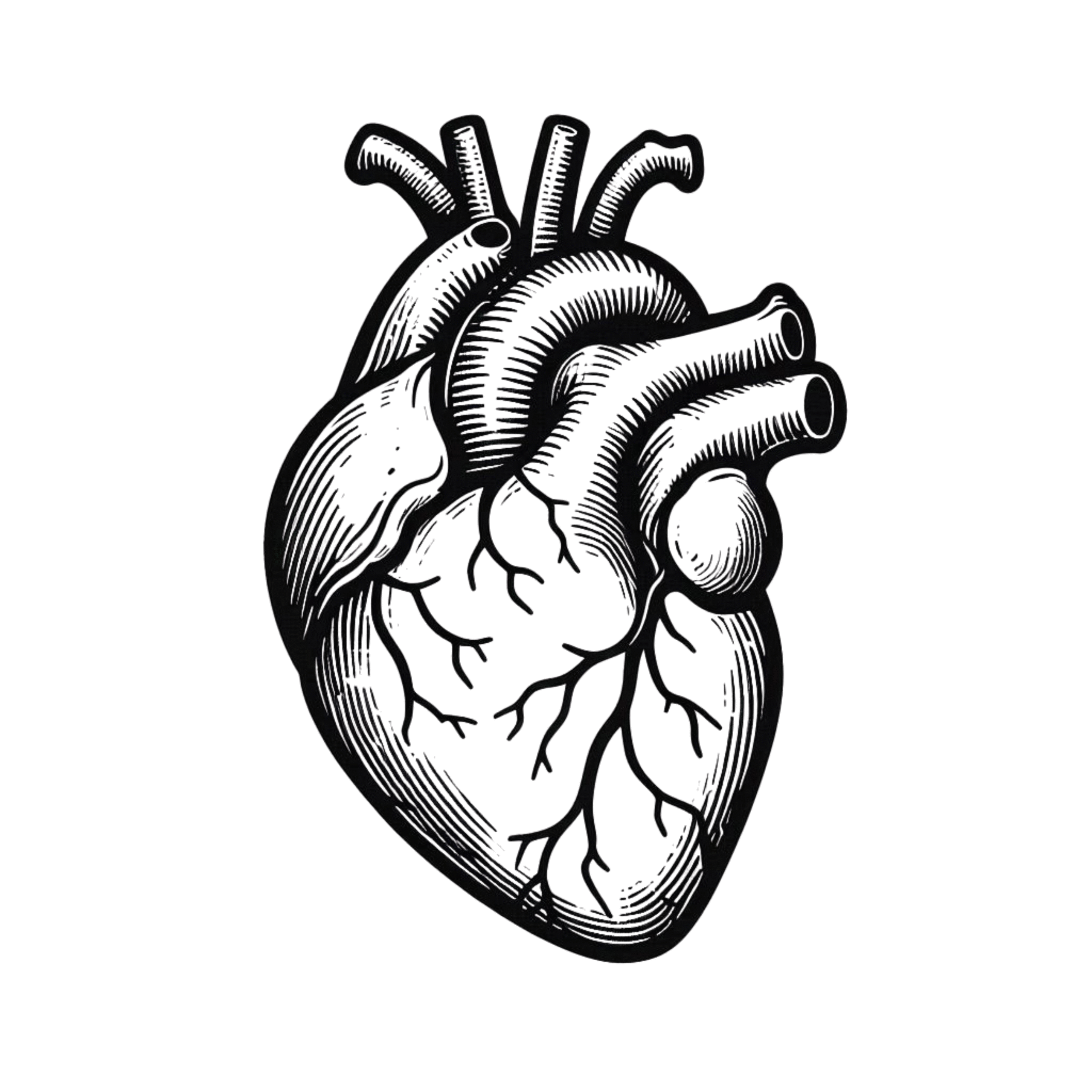 Sort stregtegning af et menneskehjerte – symbol på sjælens og livets centrum.